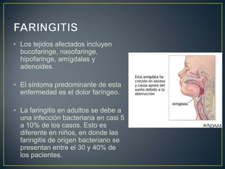 • Los tejidos afectados incluyen
  bucofaringe, nasofaringe,
  hipofaringe, amígdalas y
  adenoides.

• El síntoma predominante de esta
  enfermedad es el dolor faríngeo.

• La faringitis en adultos se debe a
  una infección bacteriana en casi 5
  a 10% de los casos. Esto es
  diferente en niños, en donde las
  faringitis de origen bacteriano se
  presentan entre el 30 y 40% de
  los pacientes.
 