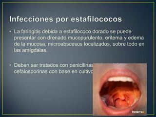 • La faringitis debida a estafilococo dorado se puede
  presentar con drenado mucopurulento, eritema y edema
  de la mucosa, microabscesos localizados, sobre todo en
  las amígdalas.

• Deben ser tratados con penicilinas, eritromicina o
  cefalosporinas con base en cultivos y antibiograma.
 