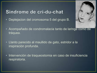 • Deplejacion del cromosoma 5 del grupo B.

• Acompañado de condromalacia tanto de laringe como de
  tráquea.

• Llanto parecido al maullido de gato, estridor a la
  inspiración profunda.

• Intervención de traqueostomia en caso de insuficiencia
  respiratoria.
 