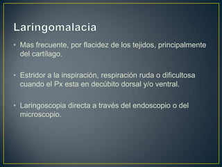 • Mas frecuente, por flacidez de los tejidos, principalmente
  del cartílago.

• Estridor a la inspiración, respiración ruda o dificultosa
  cuando el Px esta en decúbito dorsal y/o ventral.

• Laringoscopia directa a través del endoscopio o del
  microscopio.
 