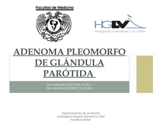 Departamento de anatomia
patologica Hospital General La Villa
FacMed UNAM
EM: MIRANDA CÍNTORA PAOLA
DRA MARZIA BEZZERRI COLONNA
ADENOMA PLEOMORFO
DE GLÁNDULA
PARÓTIDA
 