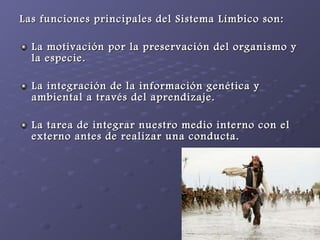 Las funciones principales del Sistema Límbico son: La motivación por la preservación del organismo y la especie. La integración de la información genética y ambiental a través del aprendizaje. La tarea de integrar nuestro medio interno con el externo antes de realizar una conducta.   