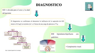 DIAGNOSTICO
IGF-1 elevada para el sexo y la edad
del paciente
• Campimetría visual.
RM hipotalamo-hipofisaria con
gadolinio.
El diagnostico se confirmara al demostrar la ineficacia de la supresión de GH
menor a 0.4 ug/L en termino de 1 a 2 horas de una carga de glucosa a 75 g
 