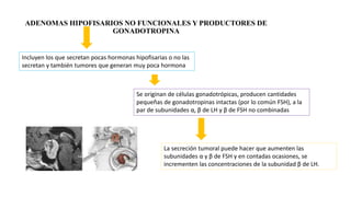ADENOMAS HIPOFISARIOS NO FUNCIONALES Y PRODUCTORES DE
GONADOTROPINA
Incluyen los que secretan pocas hormonas hipofisarias o no las
secretan y también tumores que generan muy poca hormona
Se originan de células gonadotrópicas, producen cantidades
pequeñas de gonadotropinas intactas (por lo común FSH), a la
par de subunidades α, β de LH y β de FSH no combinadas
La secreción tumoral puede hacer que aumenten las
subunidades α y β de FSH y en contadas ocasiones, se
incrementen las concentraciones de la subunidad β de LH.
 
