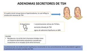 ADENOMAS SECRETORES DE TSH
El diagnóstico: > concentraciones séricas de T4 libre,
secreción elevada de TSH
signos de adenoma hipofisario en MRI.
CAUSAS
• Resistencia a la acción de la hormona tiroidea como
un trastorno dominante autosómico causado por
mutaciones en el receptor β de dicha hormona
La presencia de una neoformación hipofisaria e incremento en las concentraciones de la subunidad β sugieren
la presencia de un tumor secretor de TSH.
El cuadro inicial incluye bocio e hipertiroidismo, lo cual refleja la
producción excesiva de TSH
 