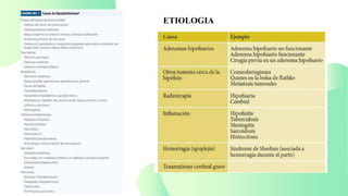 ETIOLOGIA
 