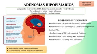 ADENOMAS HIPOFISIARIOS
• Funcionales suelen ser micro adenomas
• No funcionales tienden a ser macro adenomas
Comprenden en promedio el 15% de neoplasias intracraneales y se dividen en:
Por su diámetro: micro y macro adenomas
Función: Funcionales y no funcionales
DENTRO DE LOS FUNCIONALES:
• Productores de PRL (los más frecuentes): prolactinomas.
• Productores de GH (acromegalia). Con frecuencia producen
también PRL.
• Productores de ACTH (enfermedad de Cushing).
• Productores de FSH/LH (muy poco frecuentes).
• Productores de TSH (muy poco frecuentes).
Prevalencia
80/100000
 