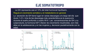 EJE SOMATOTROPO
La GH representa casi el 10% del total hormonal hipofisario.
Regula el crecimiento somático y el metabolismo en general.
La secreción de GH tiene lugar en varias descargas a lo largo del día que
duran 1-2 h. Una de las descargas más característica es la queocurre
durante el sueño profundo o sueño III-IV. Las concentraciones de GH y su
subproducto, la hormona IGF-I (factor de crecimiento insulinoide), son más
altas en la adolescencia y en las mujeres y, decrecen paulatinamente con la
edad.
 