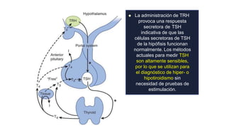  La administración de TRH
provoca una respuesta
secretora de TSH
indicativa de que las
células secretoras de TSH
de la hipófisis funcionan
normalmente. Los métodos
actuales para medir TSH
son altamente sensibles,
por lo que se utilizan para
el diagnóstico de hiper- o
hipotiroidismo sin
necesidad de pruebas de
estimulación.
 