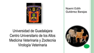 Noemi Edith
Gutiérrez Barajas
Universidad de Guadalajara
Centro Universitario de los Altos
Medicina Veterinaria y Zootecnia
Virología Veterinaria
 