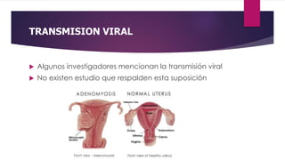 TRANSMISION VIRAL
 Algunos investigadores mencionan la transmisión viral
 No existen estudio que respalden esta suposición
 