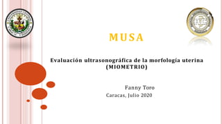 Evaluación ultrasonográfica de la morfología uterina
(MIOMETRIO)
Fanny Toro
Caracas, Julio 2020
MUSA
 