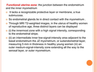 Functional uterine zone: the junction between the endometrium
and the inner myometrium
 It lacks a recognizable protective layer or membrane, a true
submucosa.
 So endometrial glands lie in direct contact with the myometrium .
 Through MRI T2-weighted images, in the uterus of healthy women
of reproductive age, three distinct layers can be displayed
 (i) the innermost zone with a high signal intensity, corresponding
to the endometrial stripe;
 (ii) an intermediate inner low-signal-intensity area adjacent to the
basal endometrium the JZ myometrium, or subendometrial layer,
measuring 5 mm in thickness in healthy young women (iii) an
outer medium-signal-intensity zone extending all the way to the
serosal layer, or outer myometrium.
 