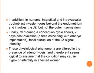  In addition, in humans, interstitial and intravascular
trophoblast invasion goes beyond the endometrium
and involves the JZ, but not the outer myometrium
 Finally, MRI during a conception cycle shows, 7
days post-ovulation (a time coinciding with embryo
implantation), focal disruption of the JZ signal
intensity
 These physiological phenomena are altered in the
presence of adenomyosis, and therefore it seems
logical to assume that the condition may cause
hypo- or infertility in affected women.
 