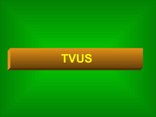 TVUS 