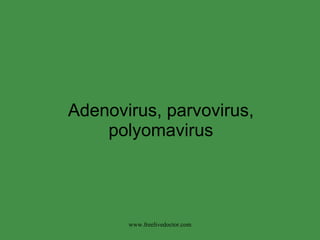 Adenovirus, parvovirus, polyomavirus www.freelivedoctor.com 