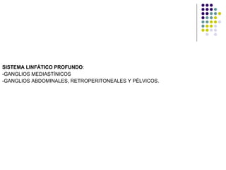 SISTEMA LINFÁTICO PROFUNDO : -GANGLIOS MEDIASTÍNICOS -GANGLIOS ABDOMINALES, RETROPERITONEALES Y PÉLVICOS. 