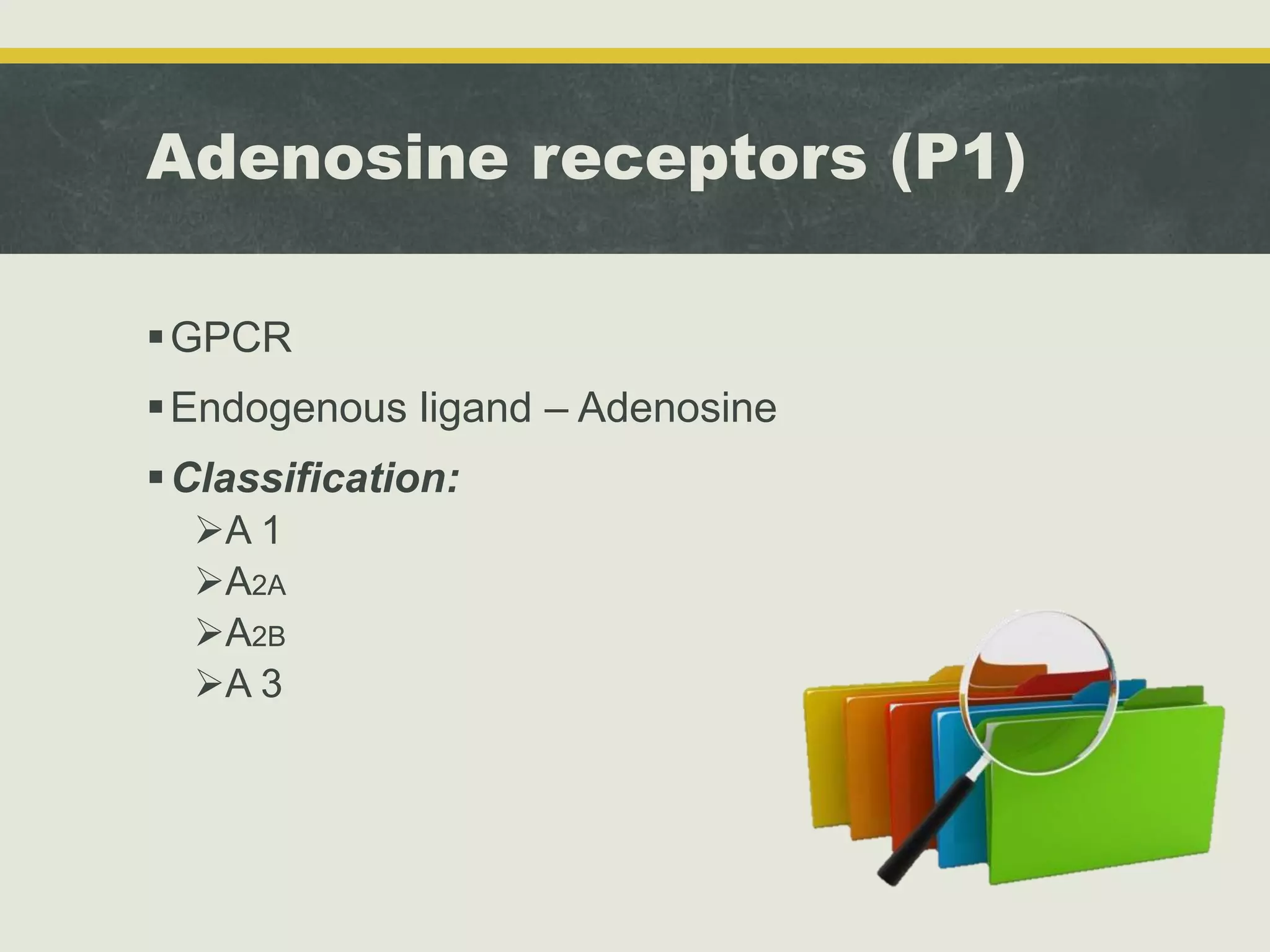 Adenosine | PPT