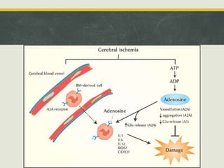 Adenosine | PPTX
