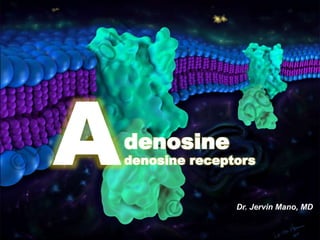 denosine
denosine receptors
Dr. Jervin Mano, MD
A
 