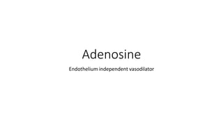 Adenosine
Endothelium independent vasodilator
 