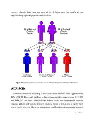 Adenosine Deaminase Deficiency Symptoms – MDNT