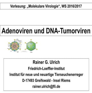Adenoviren, Teil 3. Adenoviren und einsträngige DNA -Tumorviren. 