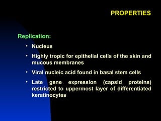 PROPERTIES Replication :  Nucleus  Highly tropic for epithelial cells of the skin and mucous membranes Viral nucleic acid found in basal stem cells Late gene expression (capsid proteins) restricted to uppermost layer of differentiated keratinocytes 