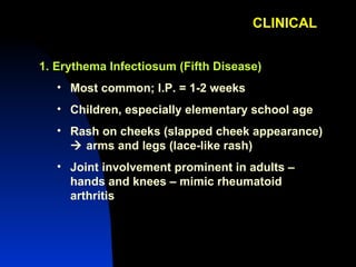 CLINICAL Erythema Infectiosum (Fifth Disease) Most common; I.P. = 1-2 weeks Children, especially elementary school age Rash on cheeks (slapped cheek appearance)    arms and legs (lace-like rash) Joint involvement prominent in adults – hands and knees – mimic rheumatoid arthritis 