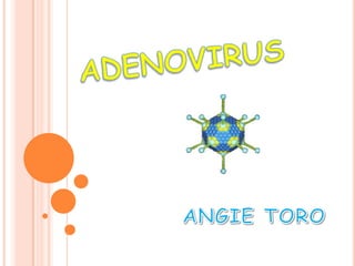 ADENOVIRUS ANGIE TORO 