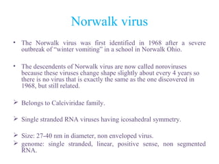 Norwalk virus
• The Norwalk virus was first identified in 1968 after a severe
outbreak of “winter vomiting” in a school in Norwalk Ohio.
• The descendents of Norwalk virus are now called noroviruses
because these viruses change shape slightly about every 4 years so
there is no virus that is exactly the same as the one discovered in
1968, but still related.
 Belongs to Calciviridae family.
 Single stranded RNA viruses having icosahedral symmetry.
 Size: 27-40 nm in diameter, non enveloped virus.
 genome: single stranded, linear, positive sense, non segmented
RNA.
 