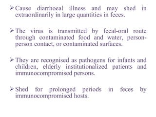 Cause diarrhoeal illness and may shed in
extraordinarily in large quantities in feces.
The virus is transmitted by fecal-oral route
through contaminated food and water, person-
person contact, or contaminated surfaces.
They are recognised as pathogens for infants and
children, elderly institutionalized patients and
immunocompromised persons.
Shed for prolonged periods in feces by
immunocompromised hosts.
 