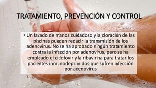 TRATAMIENTO, PREVENCIÓN Y CONTROL
• Un lavado de manos cuidadoso y la cloración de las
piscinas pueden reducir la transmisión de los
adenovirus. No se ha aprobado ningún tratamiento
contra la infección por adenovirus, pero se ha
empleado el cidofovir y la ribavirina para tratar los
pacientes inmunodeprimidos que sufren infección
por adenovirus
 