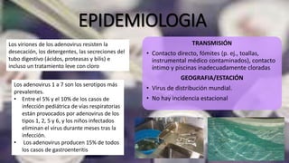 EPIDEMIOLOGIA
TRANSMISIÓN
• Contacto directo, fómites (p. ej., toallas,
instrumental médico contaminados), contacto
íntimo y piscinas inadecuadamente cloradas
GEOGRAFIA/ESTACIÓN
• Virus de distribución mundial.
• No hay incidencia estacional
Los viriones de los adenovirus resisten la
desecación, los detergentes, las secreciones del
tubo digestivo (ácidos, proteasas y bilis) e
incluso un tratamiento leve con cloro
Los adenovirus 1 a 7 son los serotipos más
prevalentes.
• Entre el 5% y el 10% de los casos de
infección pediátrica de vías respiratorias
están provocados por adenovirus de los
tipos 1, 2, 5 y 6, y los niños infectados
eliminan el virus durante meses tras la
infección.
• Los adenovirus producen 15% de todos
los casos de gastroenteritis
 