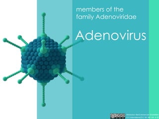 Adenovirus
members of the
family Adenoviridae
 