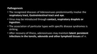 Pathogenesis
• The recognized diseases of Adenoviruses predominantly involve the
respiratory tract, Gastrointestinal tract and eye.
• Virus may be introduced through contact, respiratory droplets or
ingestion.
• The association of particular types with specific disease syndromes is
striking.
• After recovery of illness, adenoviruses may maintain latent persistent
infections in the tonsils, adenoids and other lymphoid tissues of n.
 