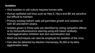 Isolation
• Viral isolation in cell culture requires human cells.
• Human epithelial cell lines such as Hep-2, HeLa and BK are sensitive
but difficult to maintain.
• Primary monkey kidneV cells will permittee growth and isolation of
AdV 40 and AdV41 strains.
• Isolates grown in these cells are identified by noting cytopathic effects
or by immunofluorescence staining using anti hexon antibody ,
heamagglutination inhibition test and neutralization test.
• Shell vial techniques can also be employed for isolation of the virus.
• Can also be detected by electron microscopy, ELISA or by latex
agglutination tests.
 