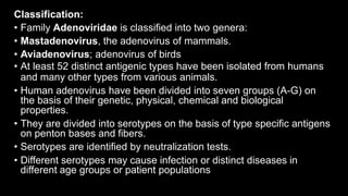 Classification:
• Family Adenoviridae is classified into two genera:
• Mastadenovirus, the adenovirus of mammals.
• Aviadenovirus; adenovirus of birds
• At least 52 distinct antigenic types have been isolated from humans
and many other types from various animals.
• Human adenovirus have been divided into seven groups (A-G) on
the basis of their genetic, physical, chemical and biological
properties.
• They are divided into serotypes on the basis of type specific antigens
on penton bases and fibers.
• Serotypes are identified by neutralization tests.
• Different serotypes may cause infection or distinct diseases in
different age groups or patient populations
 