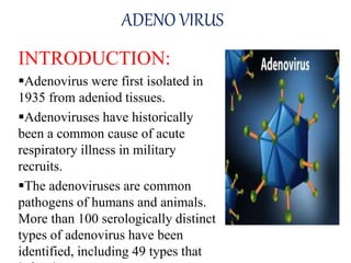 ADENO VIRUS
INTRODUCTION:
Adenovirus were first isolated in
1935 from adeniod tissues.
Adenoviruses have historically
been a common cause of acute
respiratory illness in military
recruits.
The adenoviruses are common
pathogens of humans and animals.
More than 100 serologically distinct
types of adenovirus have been
identified, including 49 types that
 