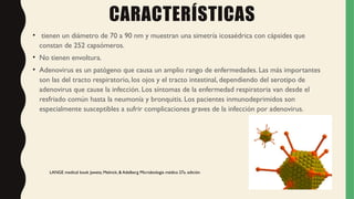 CARACTERÍSTICAS
• tienen un diámetro de 70 a 90 nm y muestran una simetría icosaédrica con cápsides que
constan de 252 capsómeros.
• No tienen envoltura.
• Adenovirus es un patógeno que causa un amplio rango de enfermedades. Las más importantes
son las del tracto respiratorio, los ojos y el tracto intestinal, dependiendo del serotipo de
adenovirus que cause la infección. Los síntomas de la enfermedad respiratoria van desde el
resfriado común hasta la neumonía y bronquitis. Los pacientes inmunodeprimidos son
especialmente susceptibles a sufrir complicaciones graves de la infección por adenovirus.
LANGE medical book Jawetz, Melnick, & Adelberg Microbiología médica 27a. edición
 