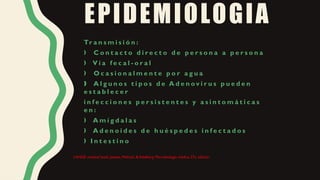 EPIDEMIOLOGIA
Tr a n s m i s i ó n :
C o n t a c t o d i r e c t o d e p e r s o n a a p e r s o n a
ƒ
V í a f e c a l - o r a l
ƒ
O c a s i o n a l m e n t e p o r a g u a
ƒ
A l g u n o s t i p o s d e A d e n o v i r u s p u e d e n
‰
e s t a b l e c e r
i n f e c c i o n e s p e r s i s t e n t e s y a s i n t o m á t i c a s
e n :
A m í g d a l a s
ƒ
A d e n o i d e s d e h u é s p e d e s i n f e c t a d o s
ƒ
I n t e s t i n o
ƒ
LANGE medical book Jawetz, Melnick, & Adelberg Microbiología médica 27a. edición
 