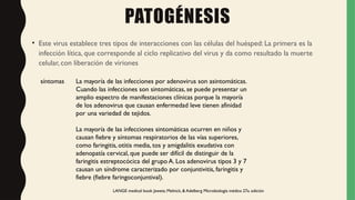 PATOGÉNESIS
• Este virus establece tres tipos de interacciones con las células del huésped: La primera es la
infección lítica, que corresponde al ciclo replicativo del virus y da como resultado la muerte
celular, con liberación de viriones
síntomas La mayoría de las infecciones por adenovirus son asintomáticas.
Cuando las infecciones son sintomáticas, se puede presentar un
amplio espectro de manifestaciones clínicas porque la mayoría
de los adenovirus que causan enfermedad leve tienen afinidad
por una variedad de tejidos.
La mayoría de las infecciones sintomáticas ocurren en niños y
causan fiebre y síntomas respiratorios de las vías superiores,
como faringitis, otitis media, tos y amigdalitis exudativa con
adenopatía cervical, que puede ser difícil de distinguir de la
faringitis estreptocócica del grupo A. Los adenovirus tipos 3 y 7
causan un síndrome caracterizado por conjuntivitis, faringitis y
fiebre (fiebre faringoconjuntival).
LANGE medical book Jawetz, Melnick, & Adelberg Microbiología médica 27a. edición
 