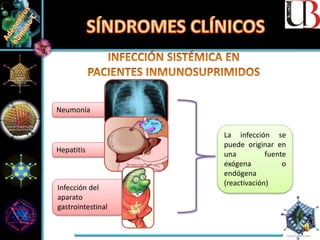 Neumonía
Hepatitis
Infección del
aparato
gastrointestinal
La infección se
puede originar en
una fuente
exógena o
endógena
(reactivación)
 