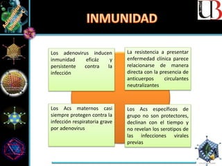 Los adenovirus inducen
inmunidad eficáz y
persistente contra la
infección
La resistencia a presentar
enfermedad clínica parece
relacionarse de manera
directa con la presencia de
anticuerpos circulantes
neutralizantes
Los Acs maternos casi
siempre protegen contra la
infección respiratoria grave
por adenovirus
Los Acs específicos de
grupo no son protectores,
declinan con el tiempo y
no revelan los serotipos de
las infecciones virales
previas
 