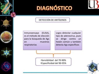 DETECCIÓN DE ANTÍGENOS
Inmunoensayo (ELISA),
es el método de elección
para la búsqueda de Ags
en muestras
respiratorias
Logra detectar cualquier
tipo de adenovirus, pues
se dirige contra un
hexón común y también
detecta Ags específicos
•Sensibilidad del 70-90%
•Especificidad del 90-95%
 