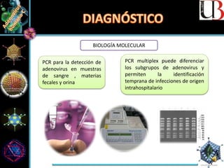 BIOLOGÍA MOLECULAR
PCR para la detección de
adenovirus en muestras
de sangre , materias
fecales y orina
PCR multiplex puede diferenciar
los subgrupos de adenovirus y
permiten la identificación
temprana de infecciones de origen
intrahospitalario
 