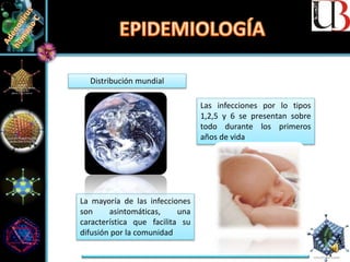 Distribución mundial
Las infecciones por lo tipos
1,2,5 y 6 se presentan sobre
todo durante los primeros
años de vida
La mayoría de las infecciones
son asintomáticas, una
característica que facilita su
difusión por la comunidad
 