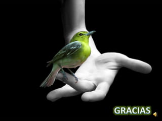 Adenovirus-humano-C.pptx