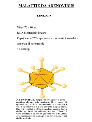 MALATTIE DA ADENOVIRUS
ETIOLOGIA
Virus 70 - 80 nm
DNA bicatenario lineare
Capside con 252 capsomeri a simmetria icosaedrica
Assenza di pericapside
41 sierotipi
-
 