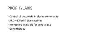 PROPHYLAXIS
• Control of outbreaks in closed community
• ARD – Killed & Live vaccines
• No vaccine available for general use
• Gene therapy
 